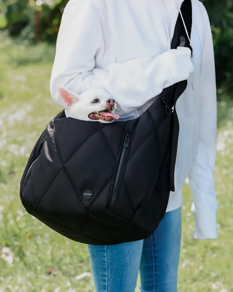 Cloud Crossbody Pet Carrier In Beige Or Black 1