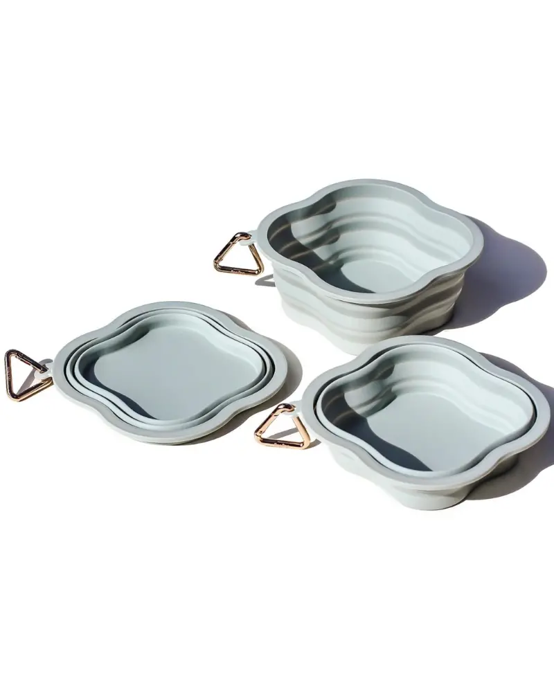 Collapsible Silicone Water Bowl 2