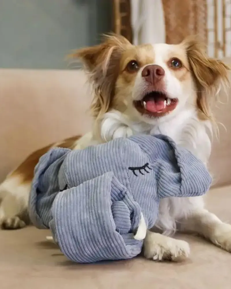 Trunk Or Treat Elephant Snuffle Dog Toy 1