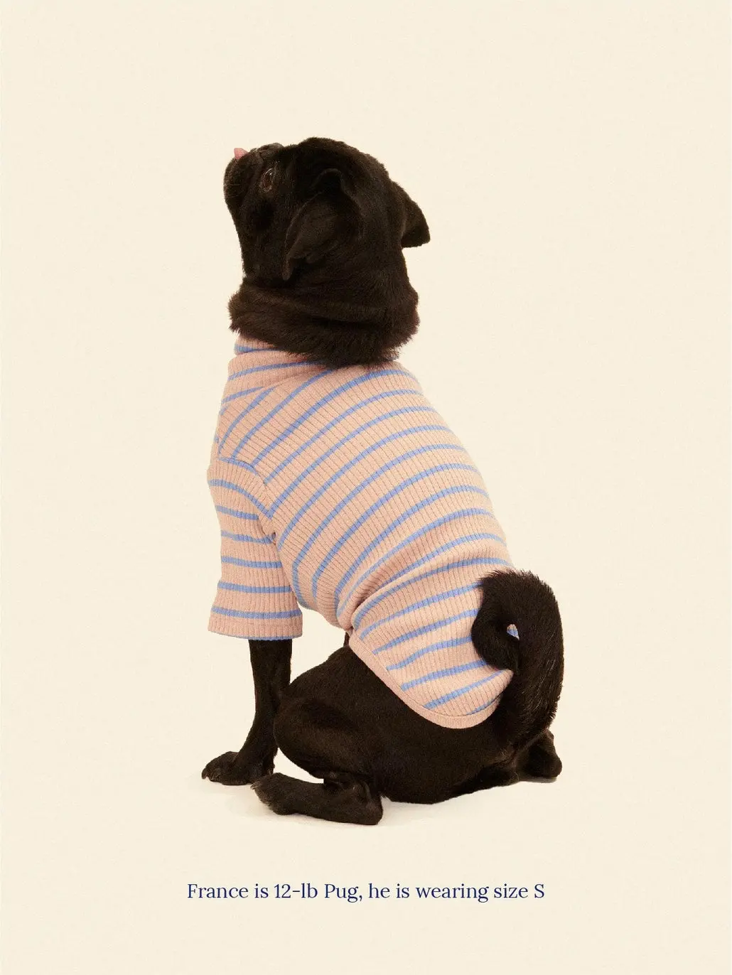 Catch Me Outside Dog Shirt (Final Sale) 1