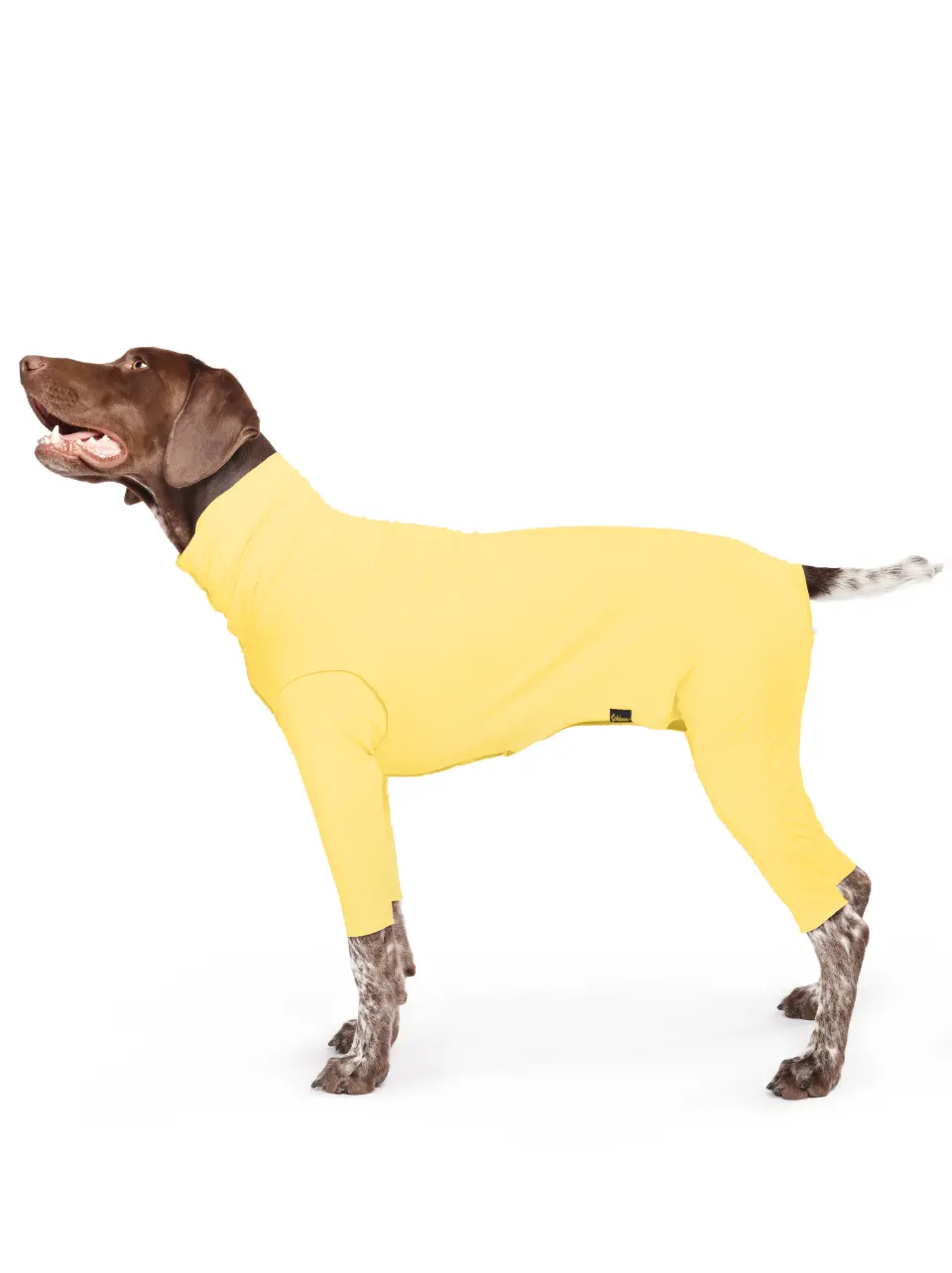 Sun Shield *Sunsie Onesie* In Butter Yellow (Made In The Usa) 1