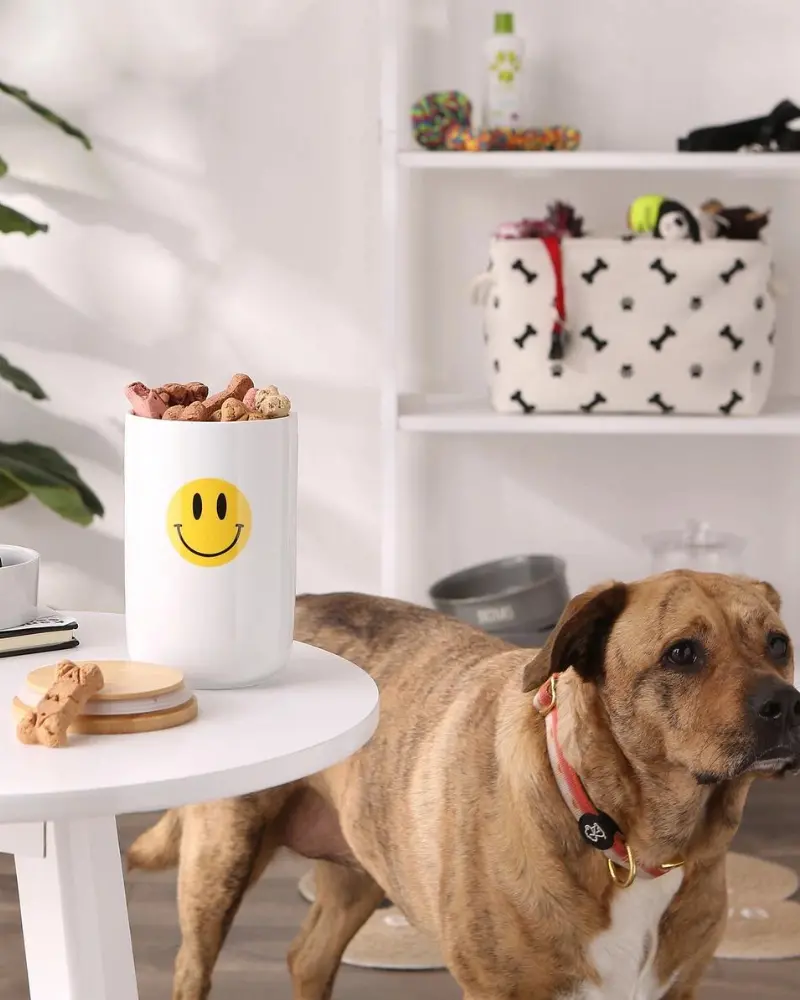Let's Get Happy Smiley Face Treat Jar 2