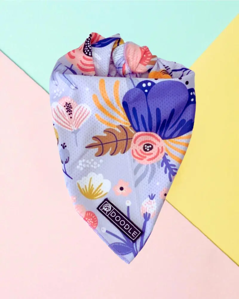 Cooling Dog Bandana In Bloom 1
