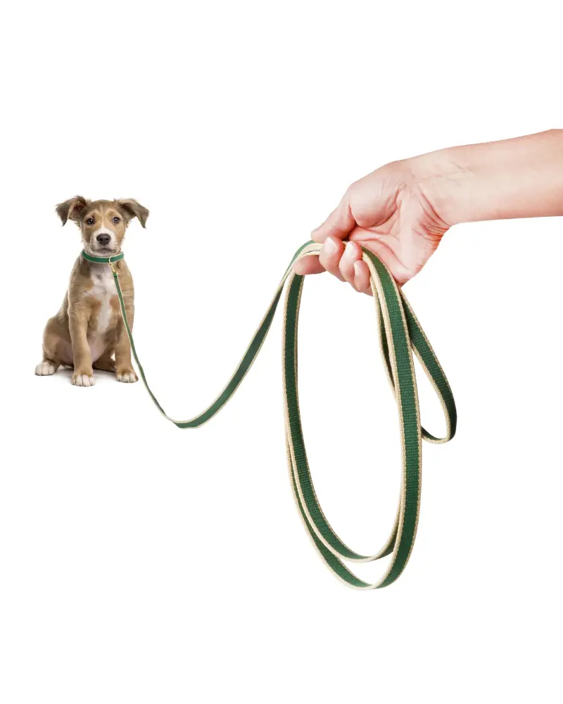 Color Market Dog Training Leash In Forest & Tan (Made In The Usa) 1