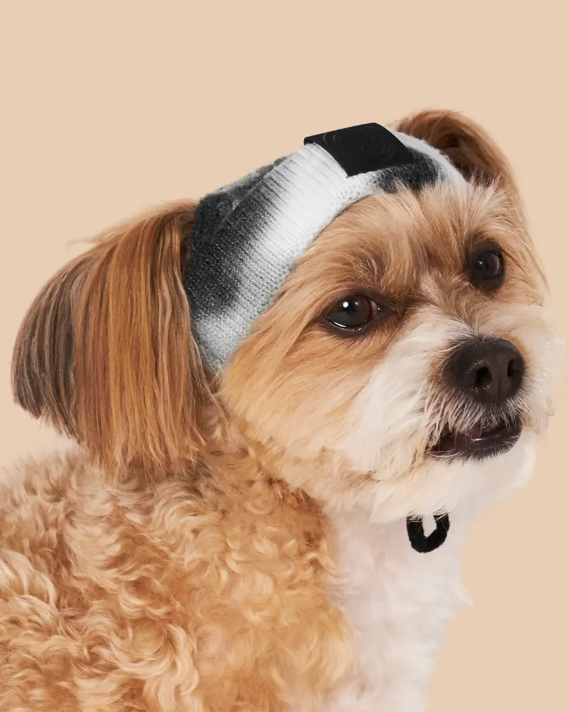 Tie-Dye Dog Beanie In Black & White (Final Sale) 1