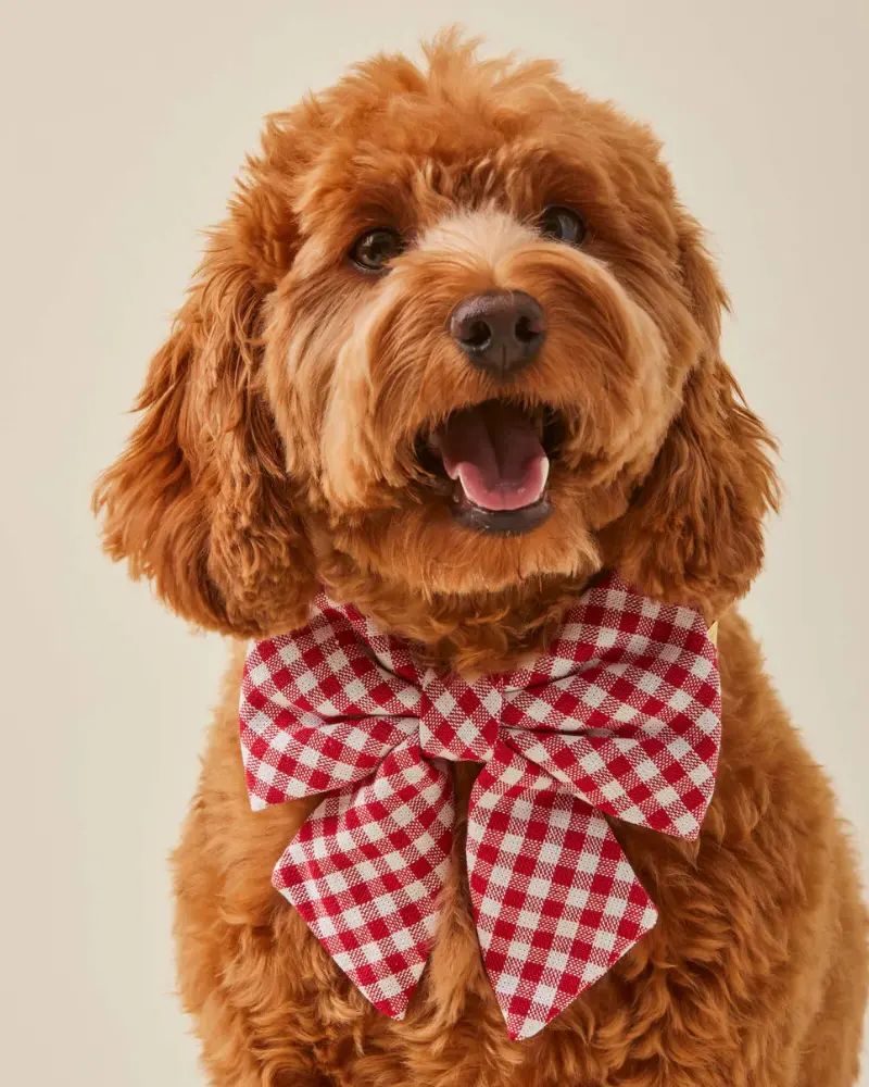 Red Gingham Lady Dog Bow 1