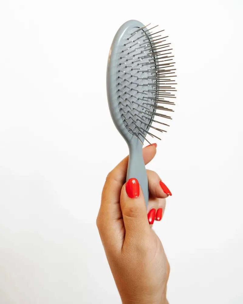 Gentle Detangling Dog Brush 1