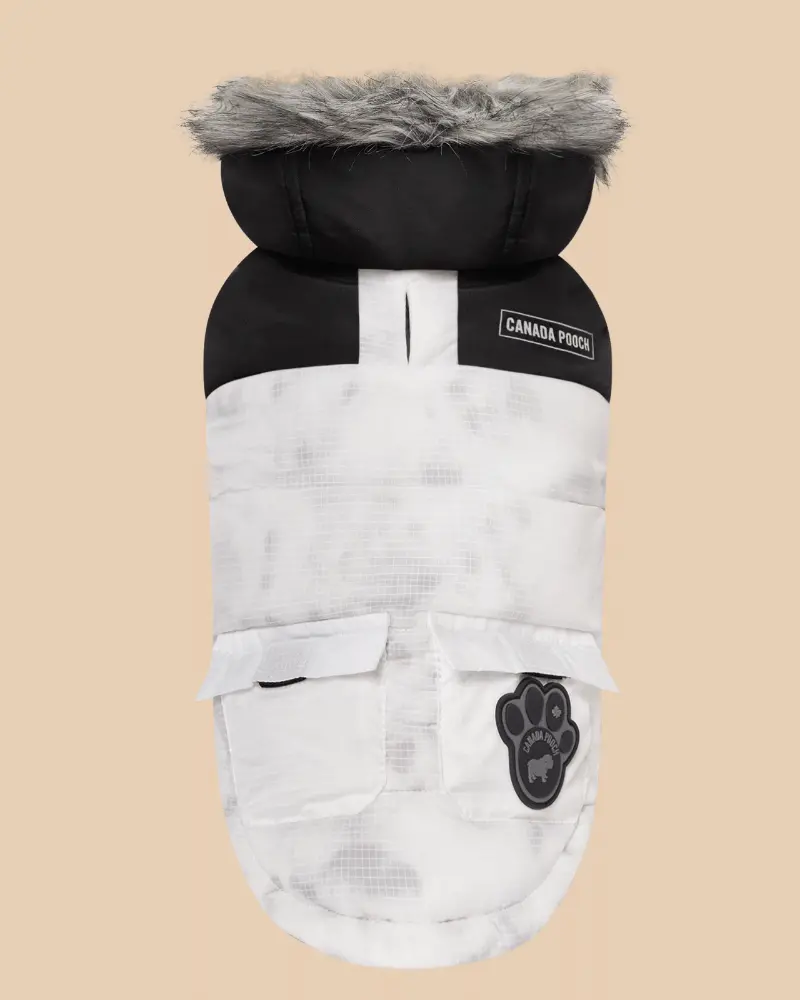 Eco True North Dog Parka In Marble << Final Sale >> 1