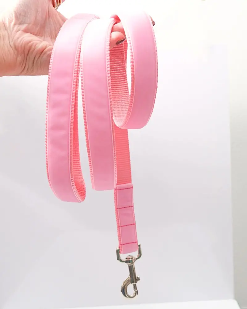 Velvet Dog Bow Collar Set In Petal Pink (Made In The Usa) 4