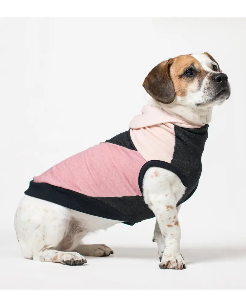 The Boombayah Cotton Hoodie For Long Dogs (Made In The Usa) << Final Sale >> 1