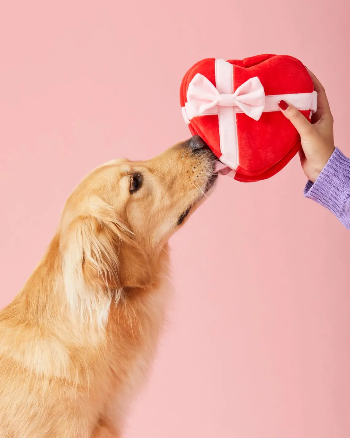 My Sweetest Heart Snuffle Dog Toy 1