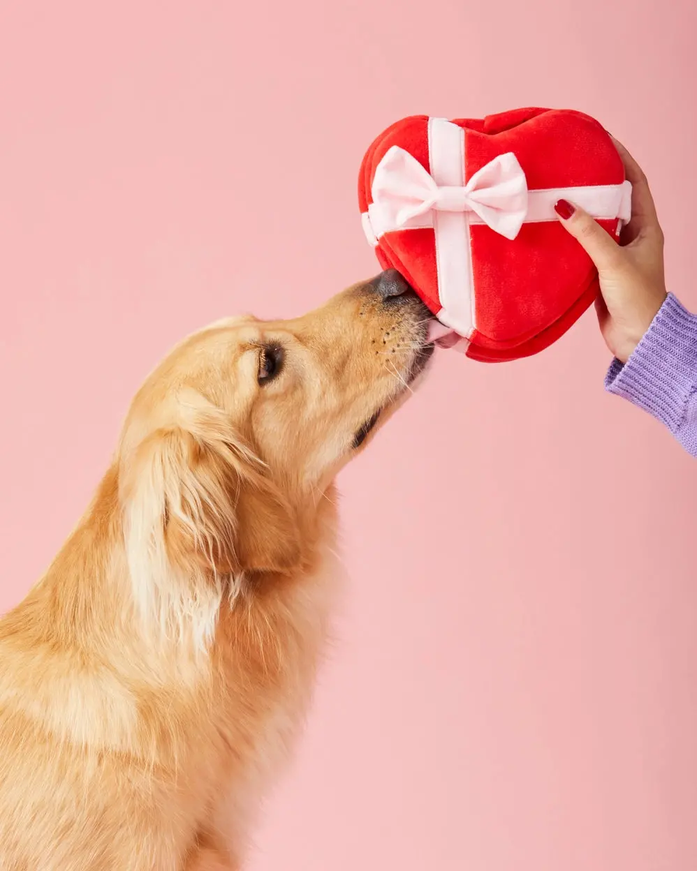 Be My Valentine Interactive Snuffle Dog Toy 1