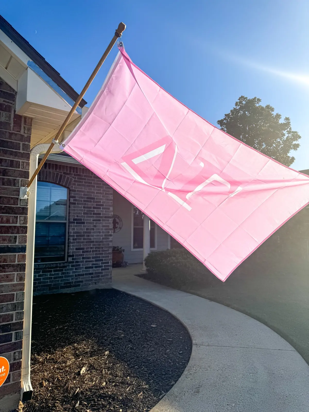 Delta Gamma Flag 1