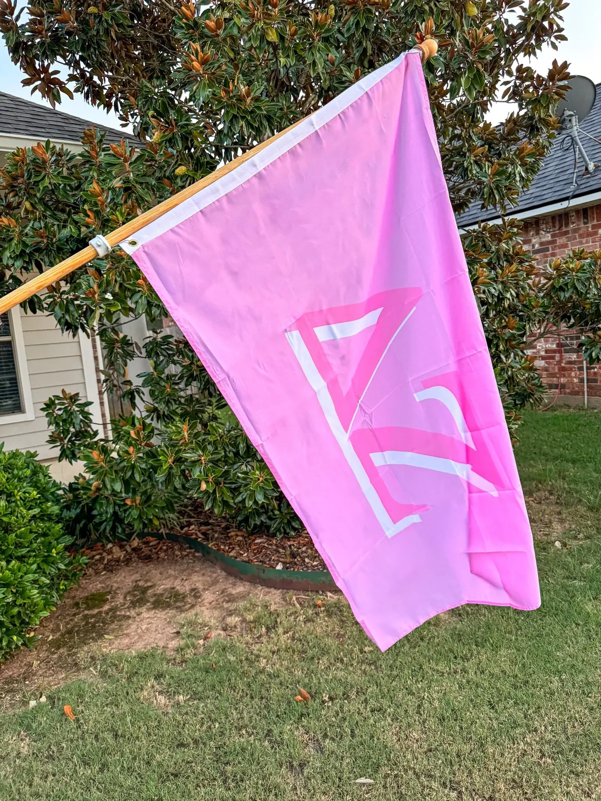 Delta Zeta Flag 1