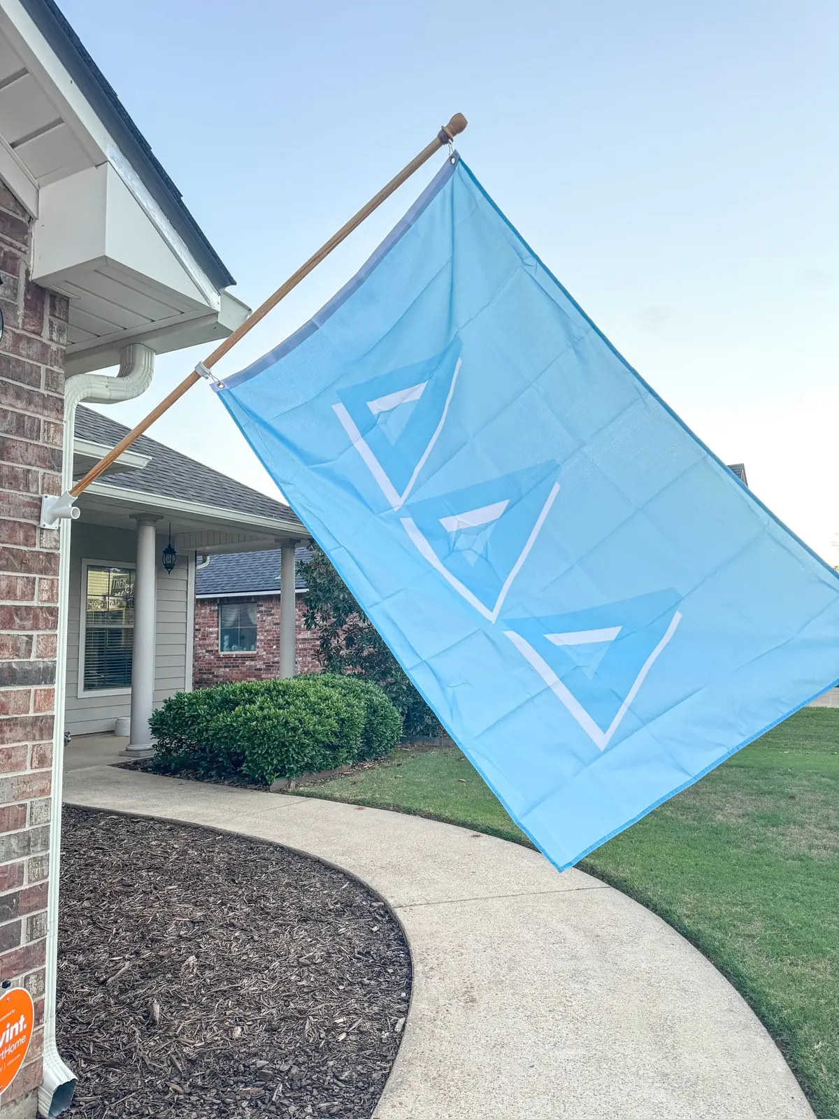 Delta Delta Delta Flag 1