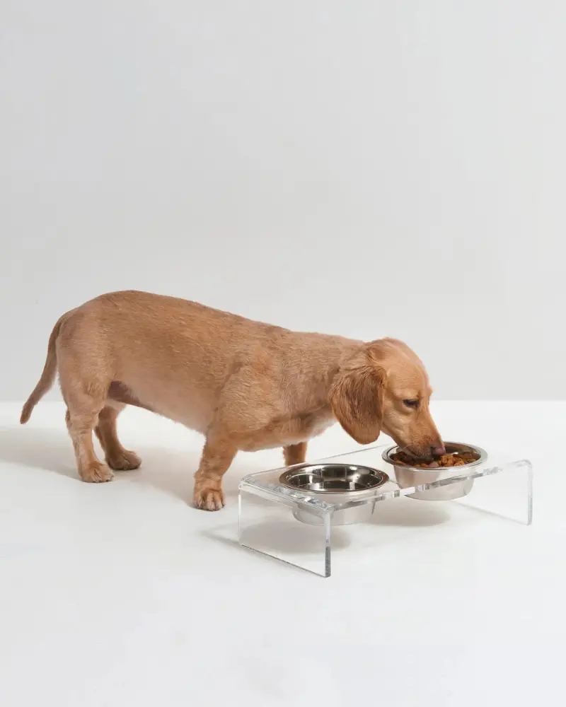 Clear Lucite Double Bowl Pet Feeder (Made In The Usa) (Direct-Ship) 1