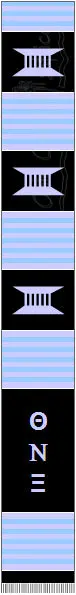 Theta Nu Xi Kente Stole 1