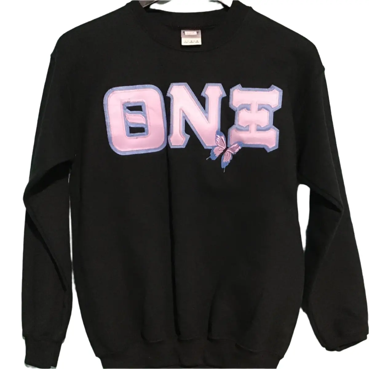 Theta Nu Xi Mascot Crewneck 1