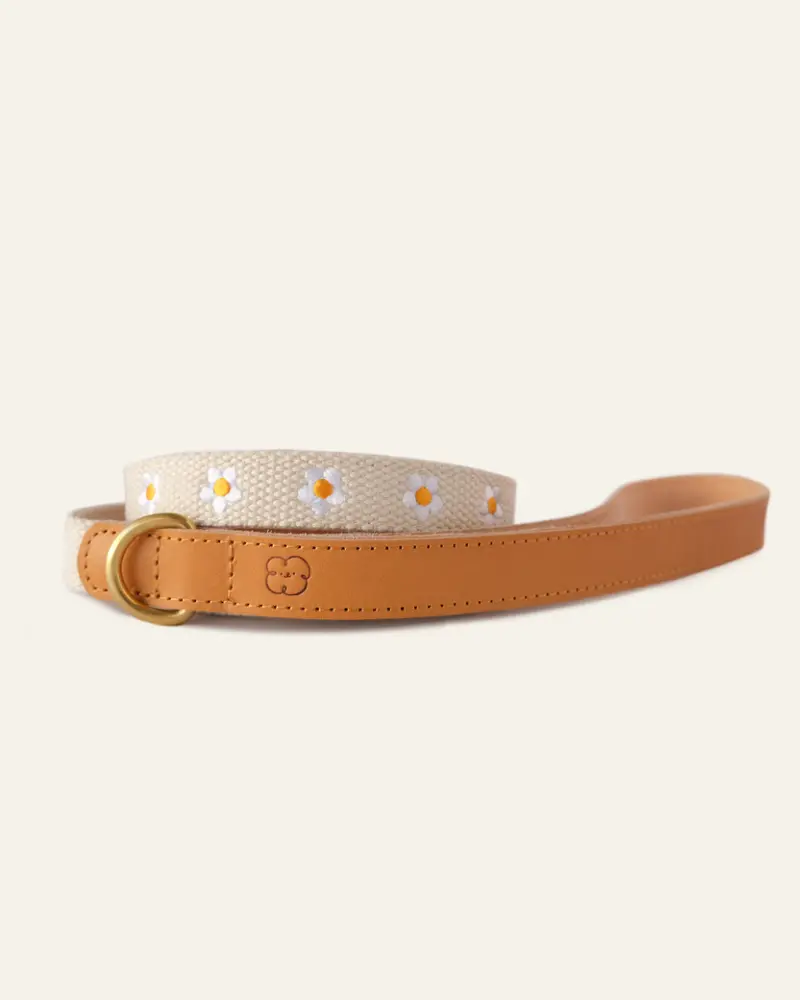 Cotton + Leather Daisy Dog Leash 1