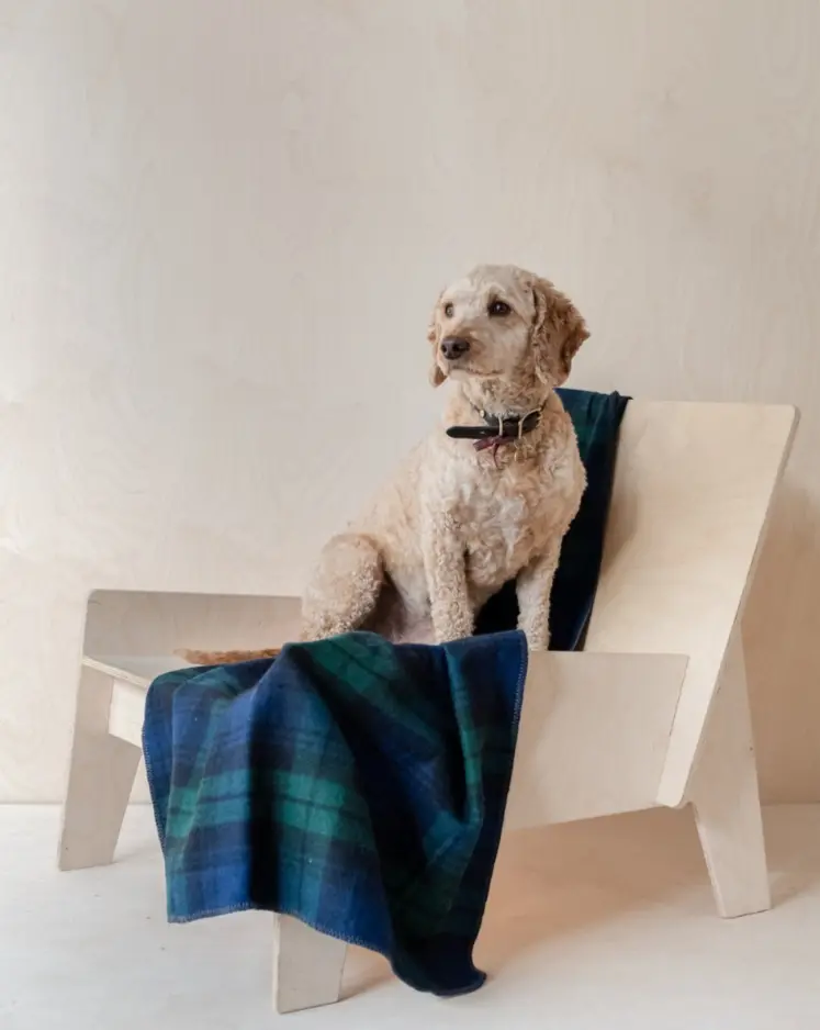 Recycled Wool Pet Blanket In Black Watch Tartan (Final Sale) 1