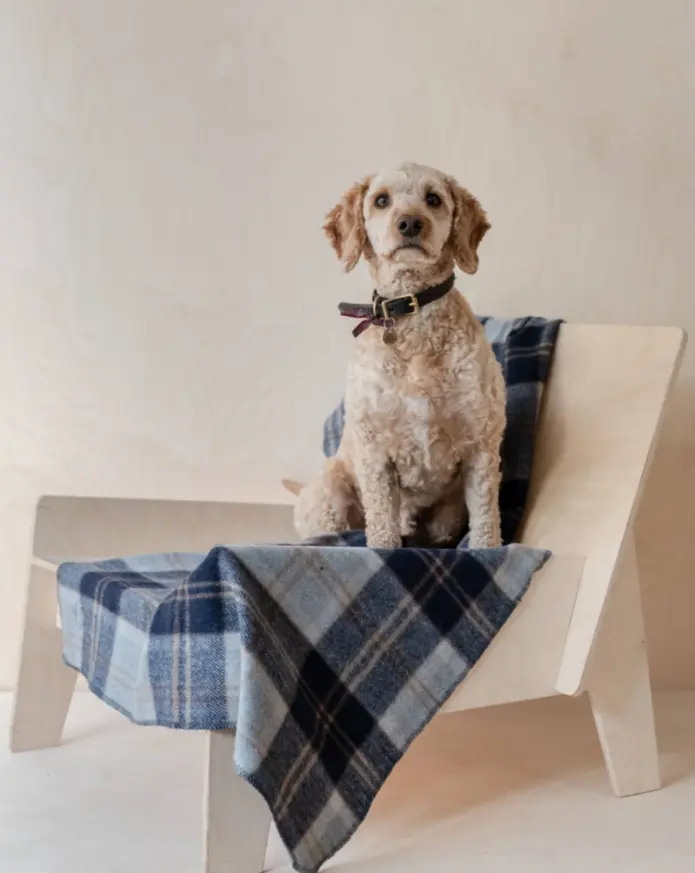 Recycled Wool Pet Blanket In Bannockbane Silver Tartan 1