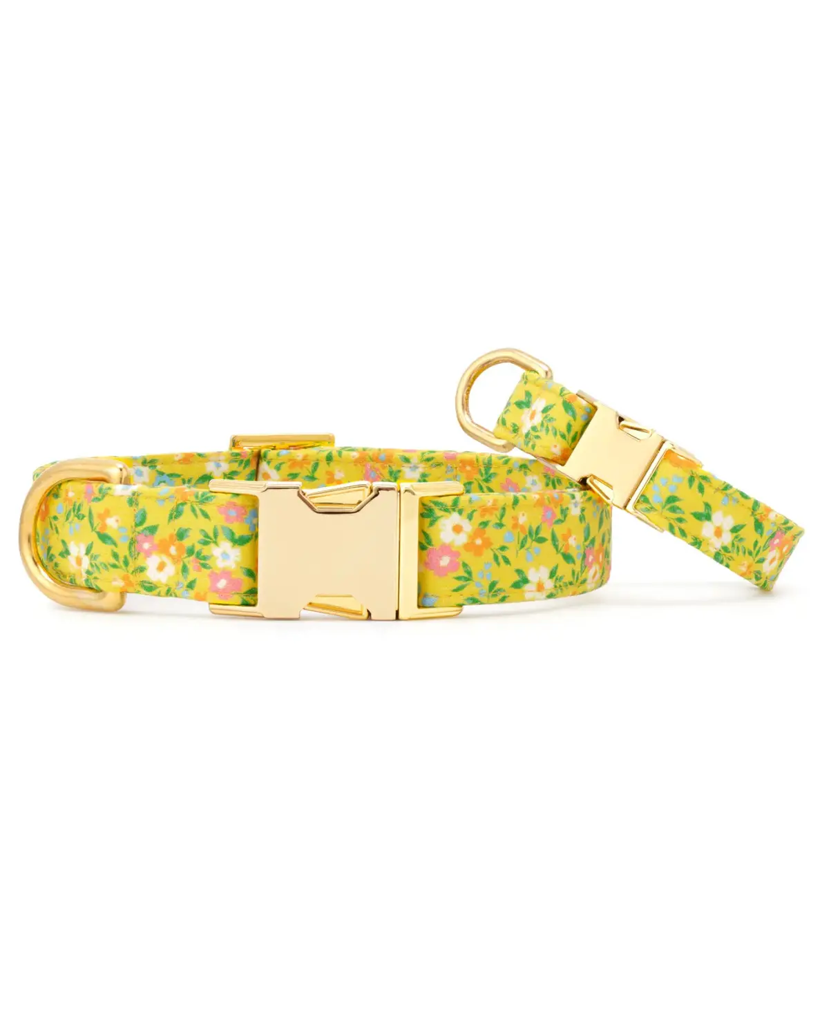 Sunny Meadow Spring Dog Collar (Made In The Usa) 1