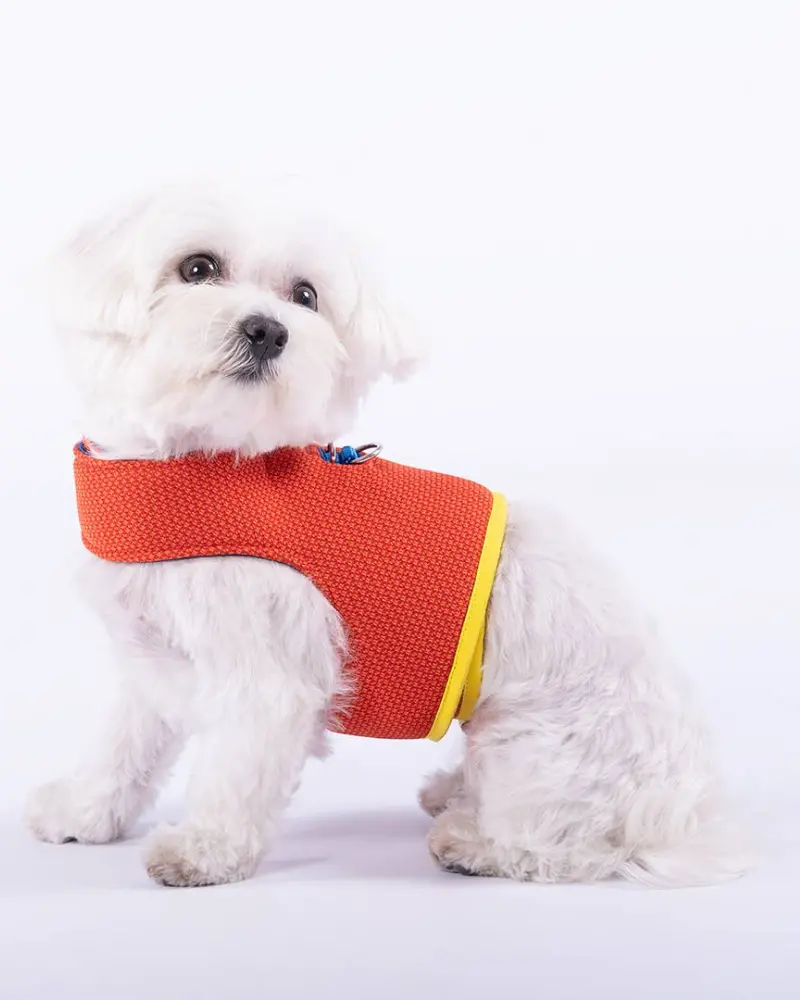 Yuki Mesh Dog Harness In Orange (Made In Spain) (Final Sale) 1