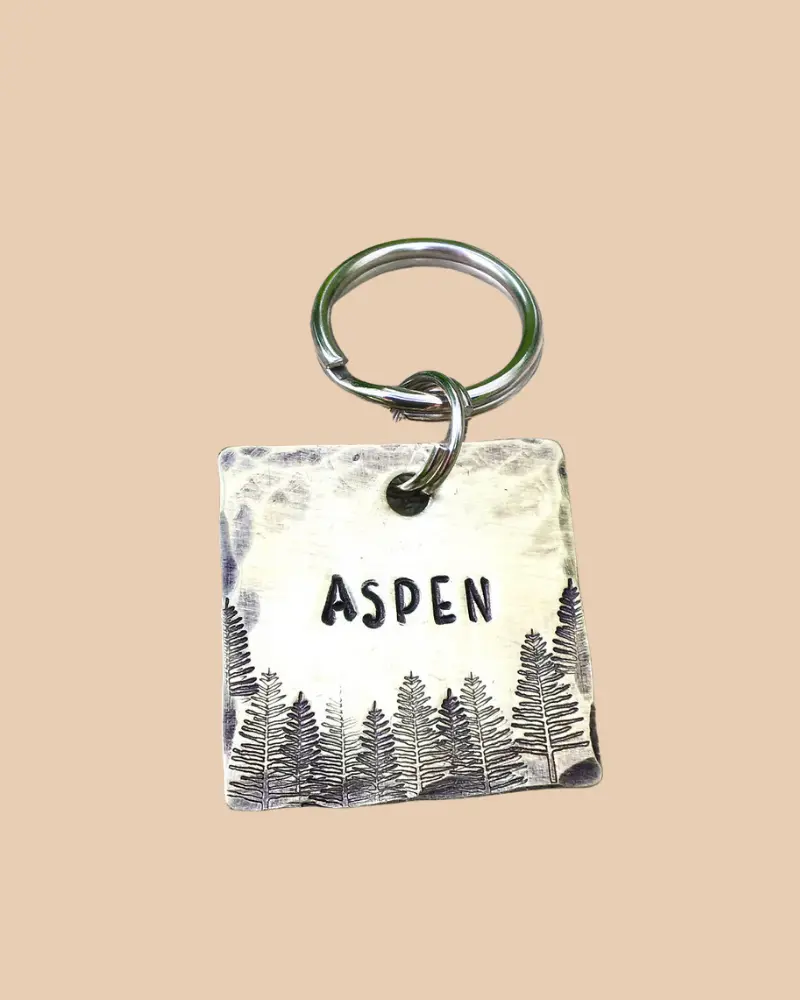 Aspen Custom Dog Id Tag (Custom/Drop-Ship) (Made In The Usa) 3