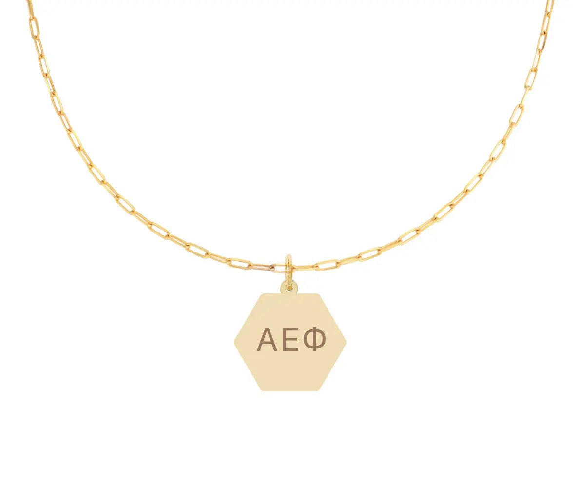 Alpha Epsilon Phi Paperclip Necklace With Pendant 1