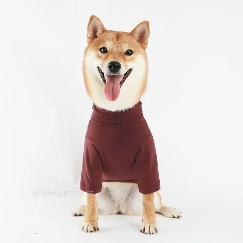 Alp | B-Turtleneck In Wine 1