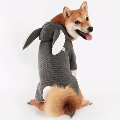 Amy Loves Pet | Bunny Hoodie In Grey 1