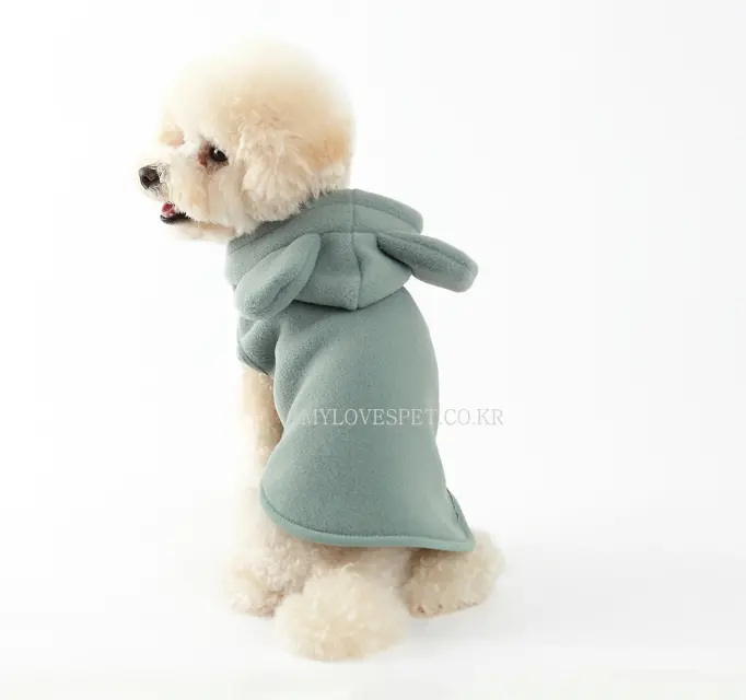 Alp | Joy Hoodie In Mint 1