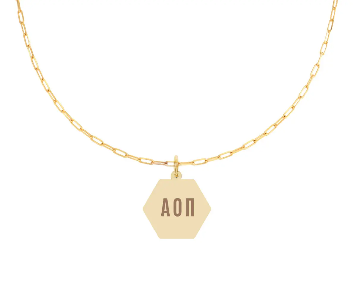 Alpha Omicron Pi Paperclip Necklace With Pendant 1