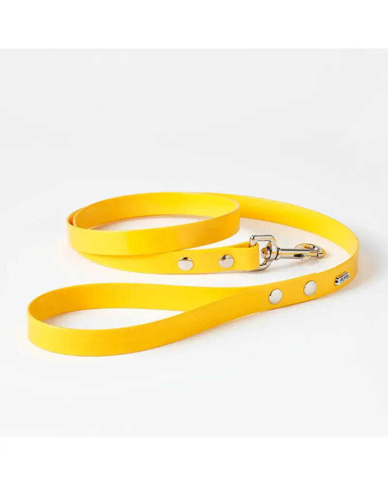 Hydro Dog Leash In Yellow (Made In Canada) (Final Sale) 1