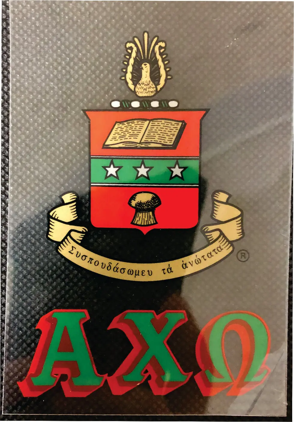 Alpha Chi Omega Window Cling - Discontinued 1