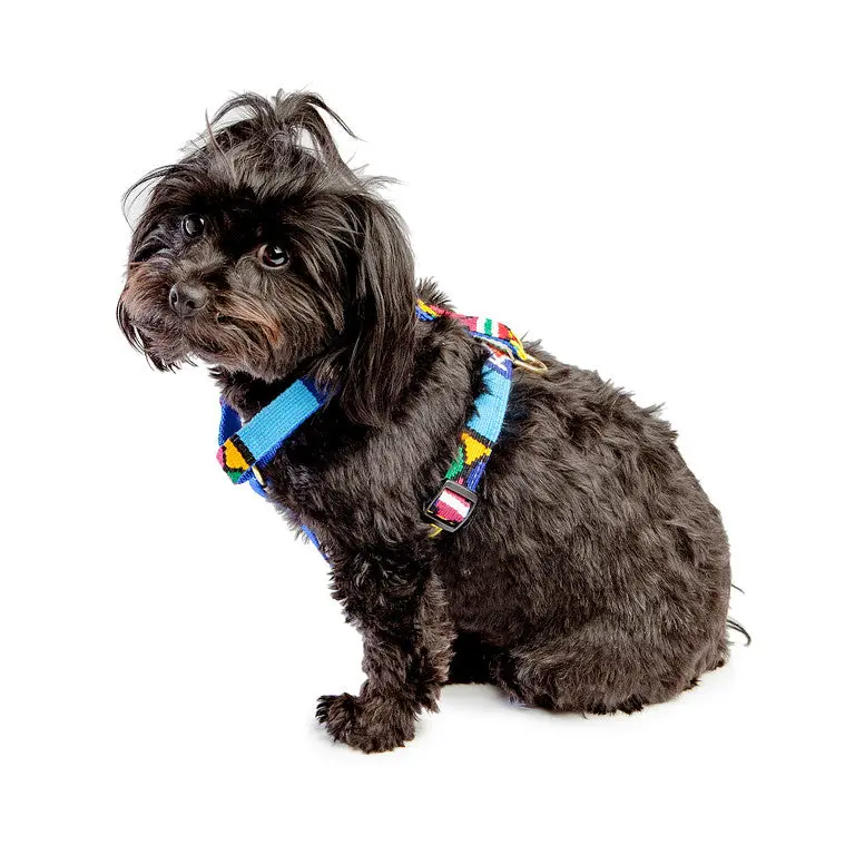 A Tail We Could Wag | Moab Sky Harness 1