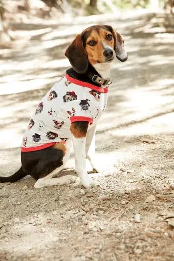 Bedhead | Lounge Dog T In Dignified Dog 1