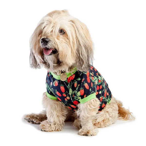 Bedhead | Lounge Dog T In Strawberry Fields 1