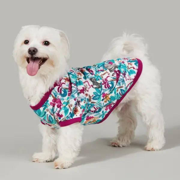 Bedhead | Lounge Dog T In Into The Jungle 1