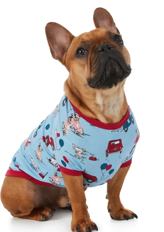 Bedhead | Lounge Dog T In Murray's Day Out 1