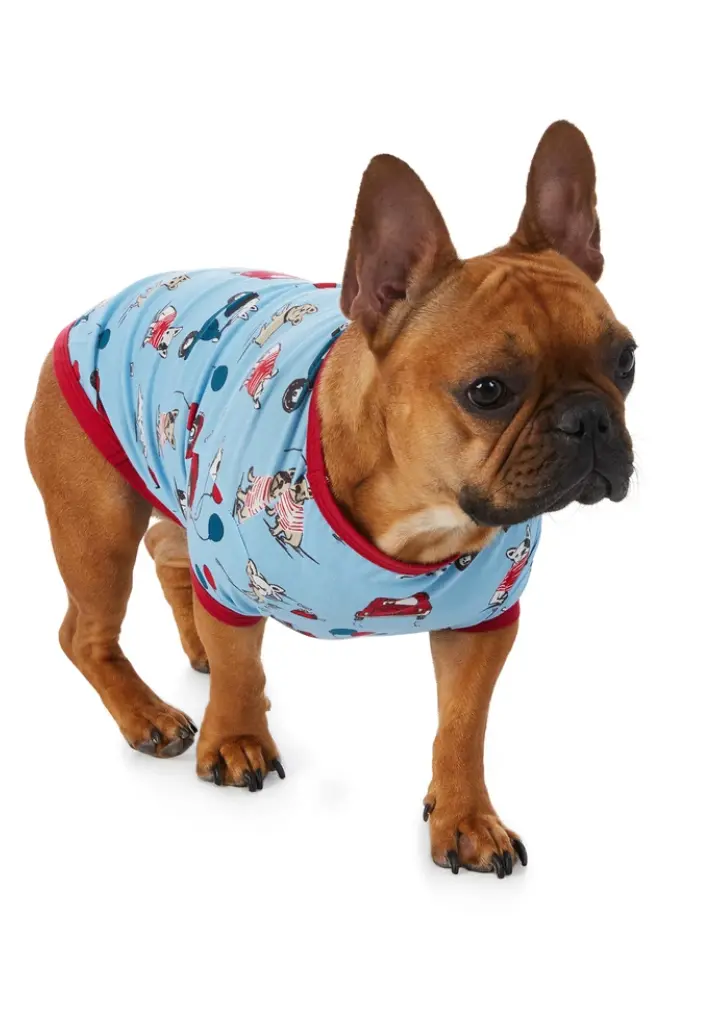 Bedhead | Lounge Dog T In Murray's Day Out 2