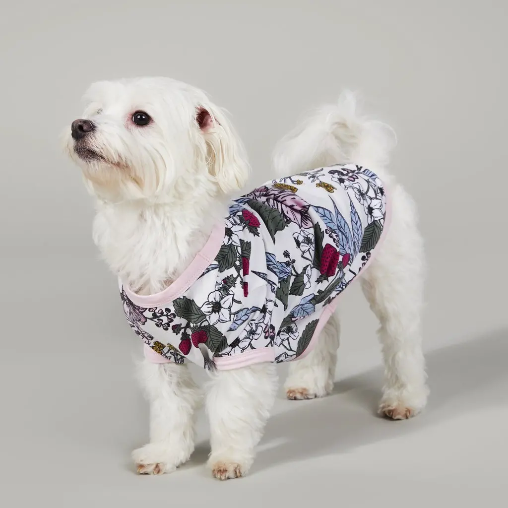 Bedhead | Lounge Dog T In Strawberry Garden 1