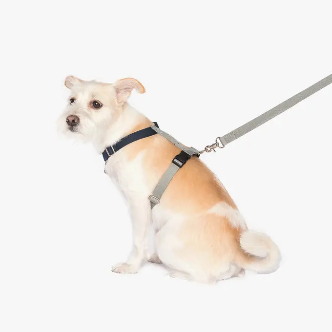Betters | H-Harness In Grey & Navy 1