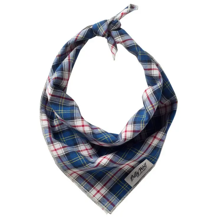 Billy Wolf | Fulton Bandana 1