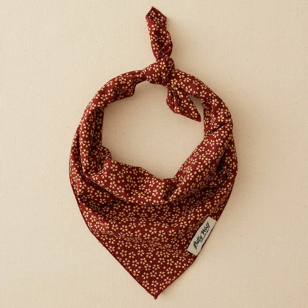 Billy Wolf | Shelby Bandana 1