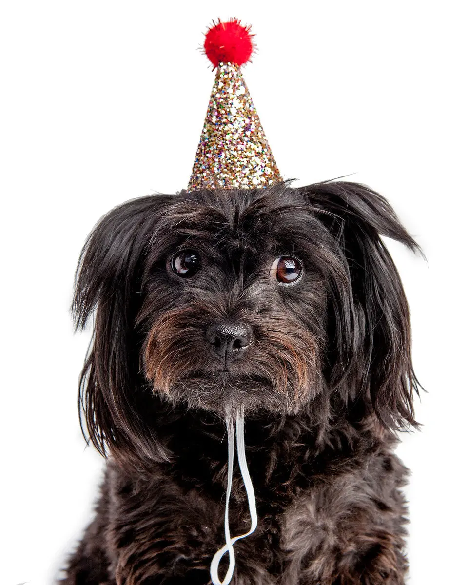 Buster's Party Shop | Confetti Glitter + Red Pom Pom Mini Party Hat 1