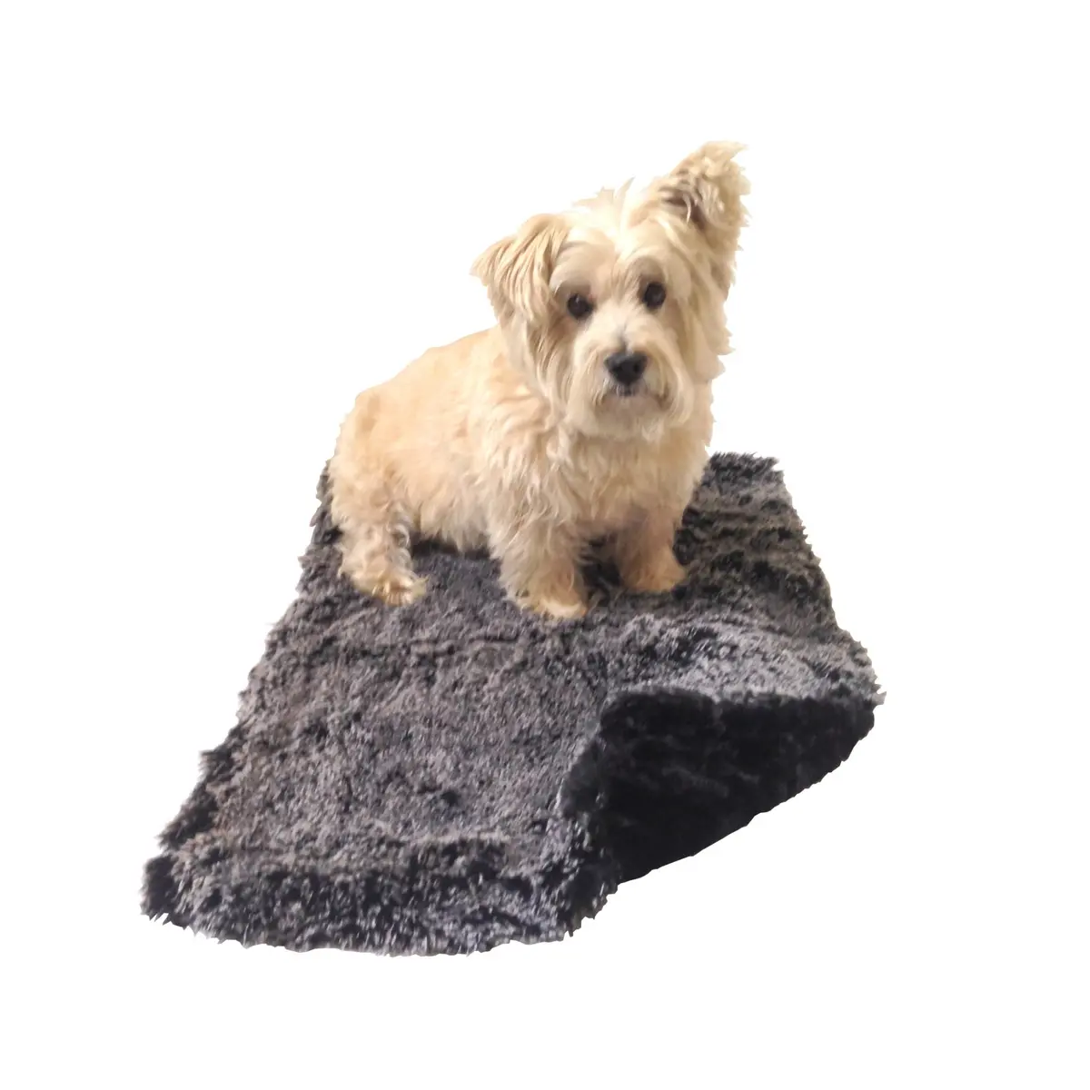 The Dog Squad | Black & White Shag Minkie Blacket 1