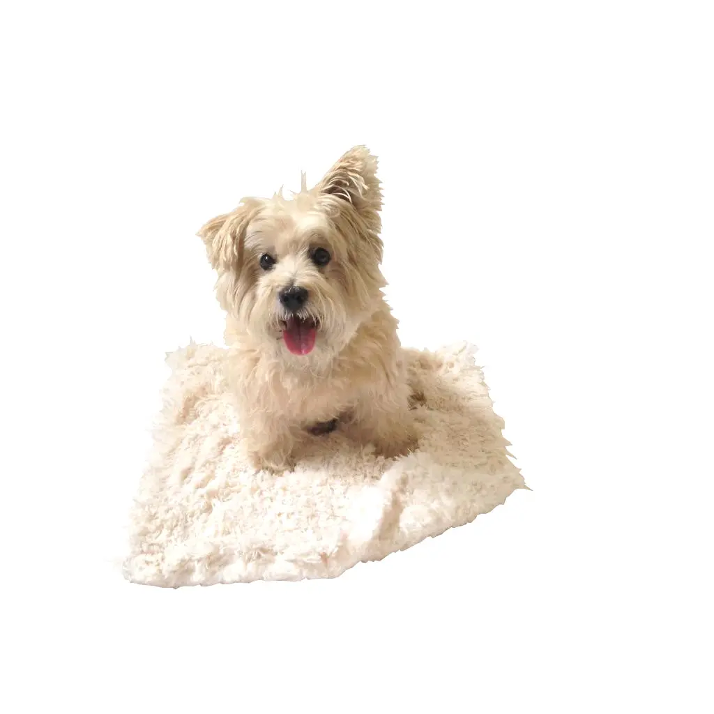 The Dog Squad | Ivory Powder Puff Blanket 1