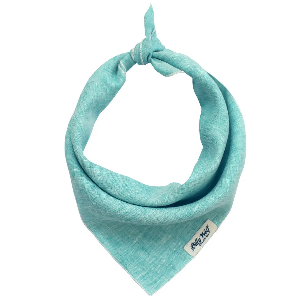 Billy Wolf | Boone Bandana 1