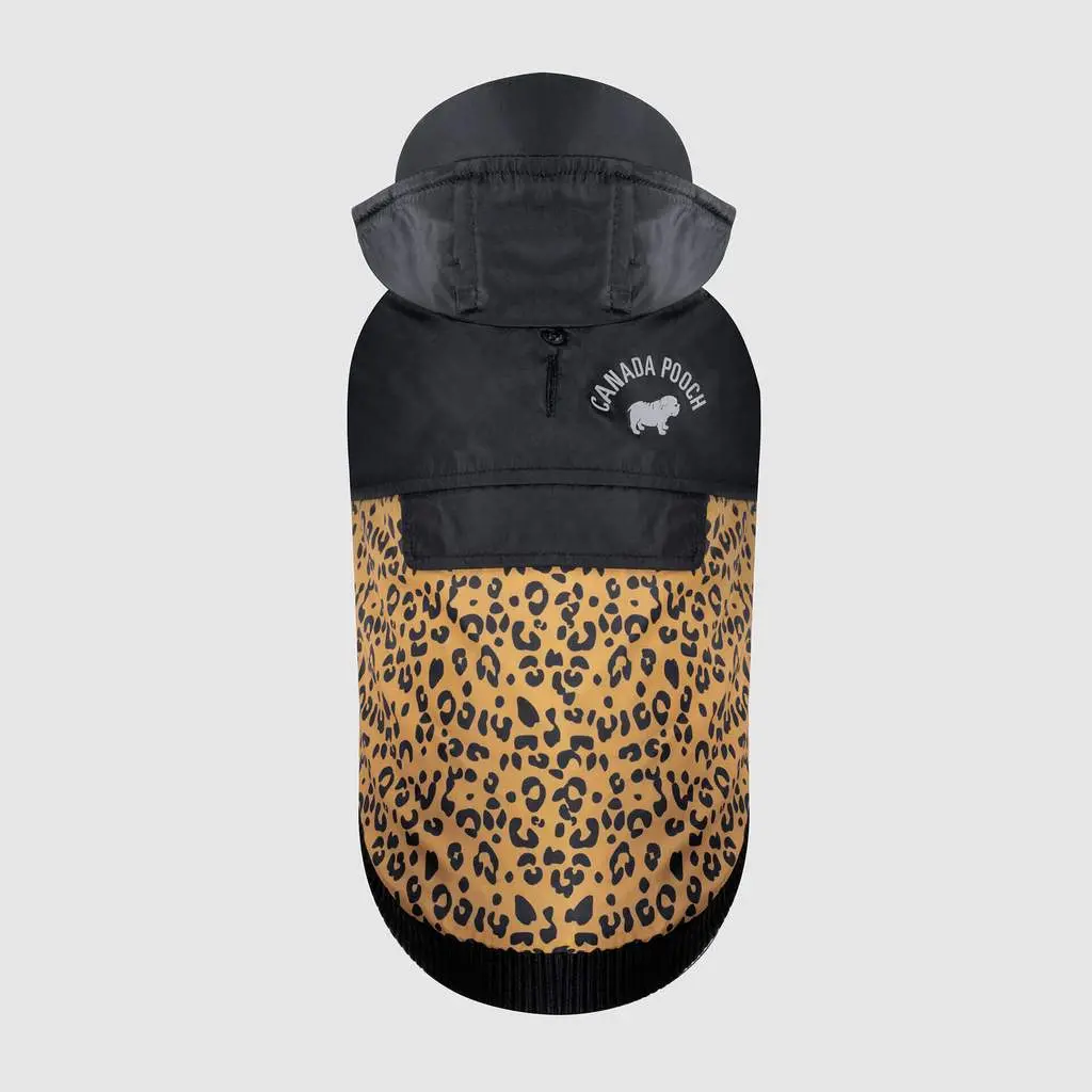 360 Jacket In Leopard (Final Sale) 1